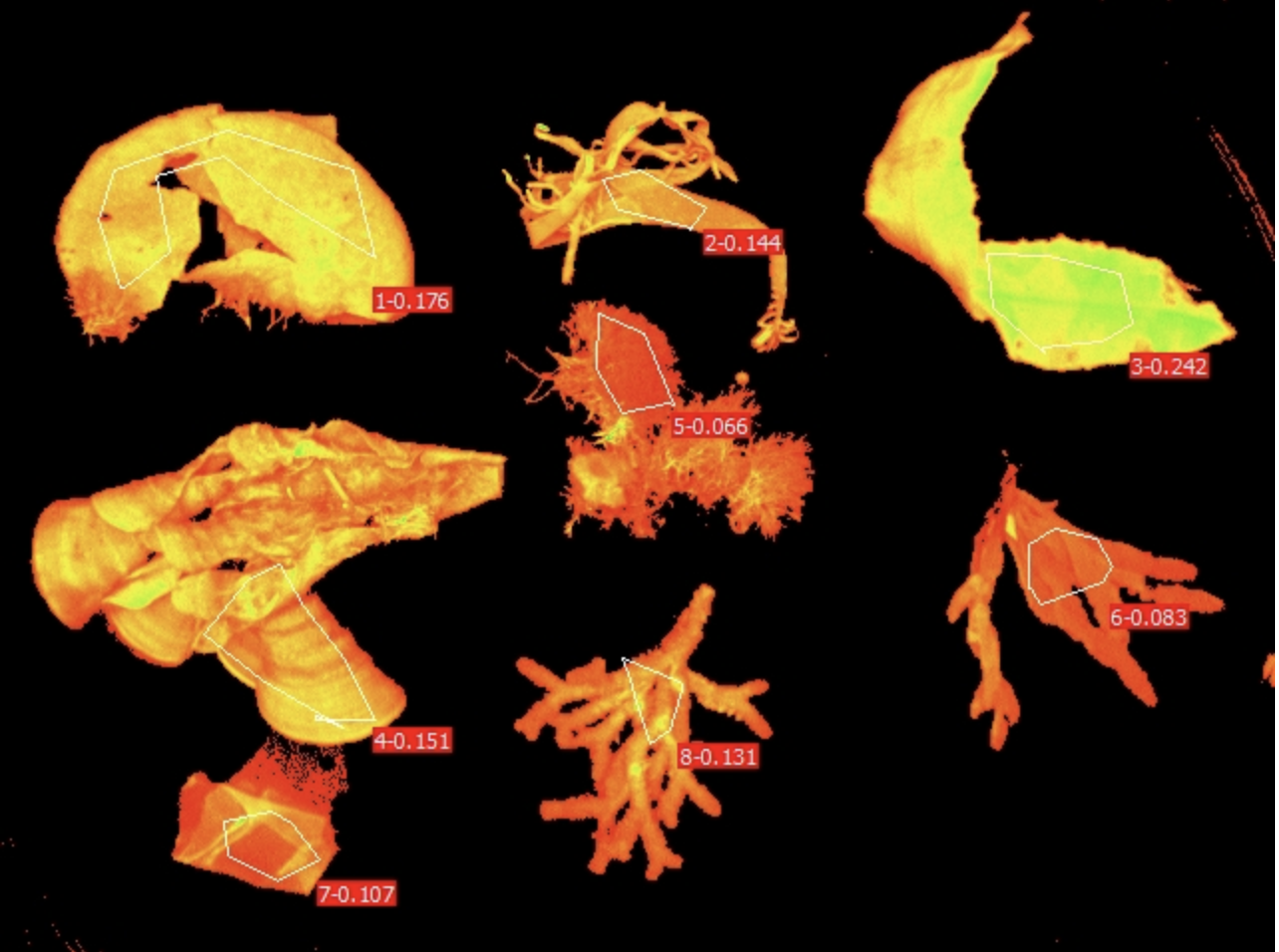 Figure 6: PAM visual for the dark acclimated algae