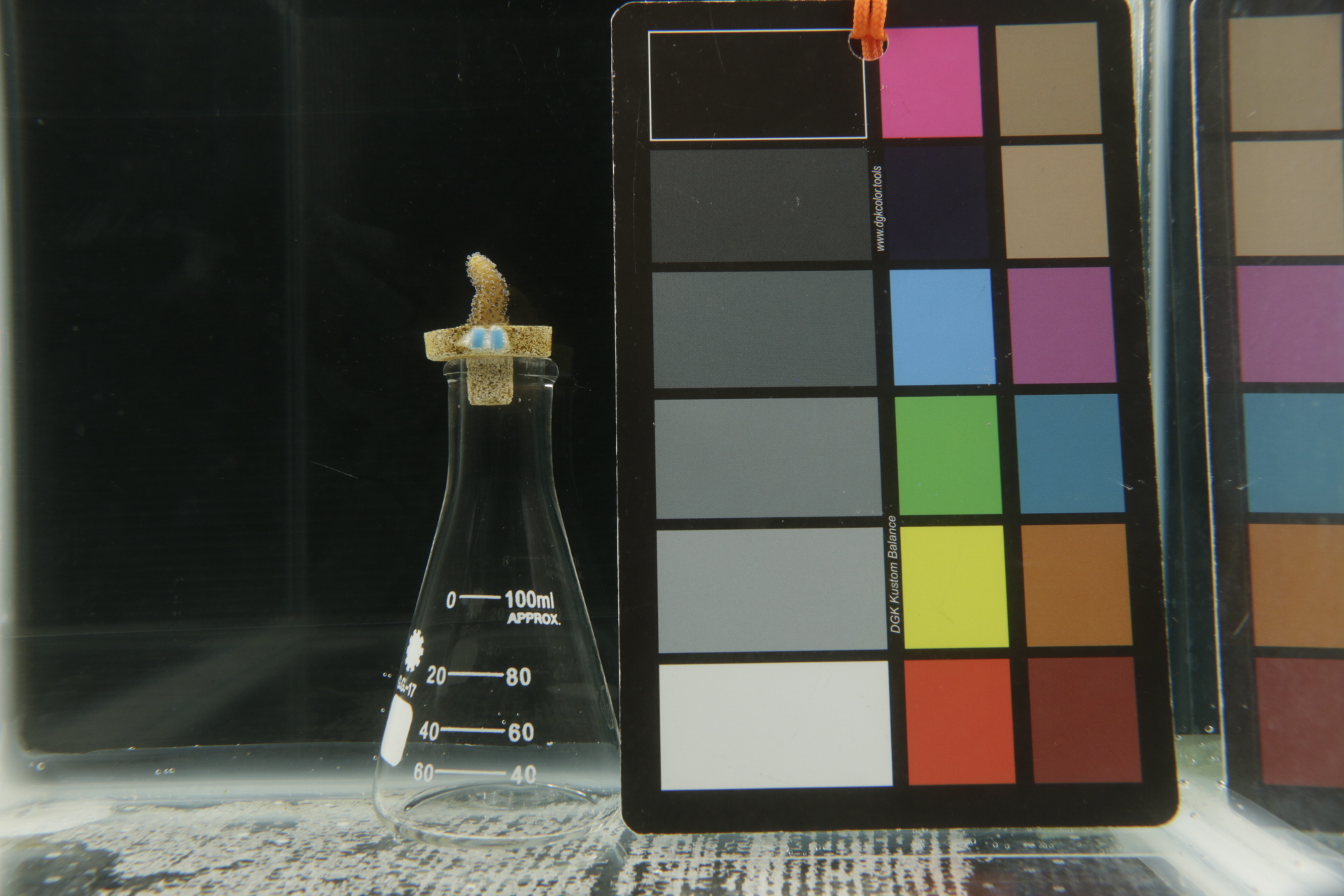 Figure S3: RAW image of nub S3_2A.